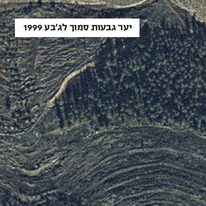 יער גבעות לפני ואחרי. | באדיבות בית הספר כפר עציון יער גבעות לפני ואחרי. | באדיבות בית הספר כפר עציון