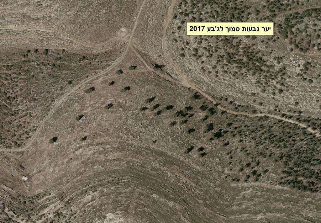 יער גבעות ב-2017. | באדיבות בית הספר כפר עציון