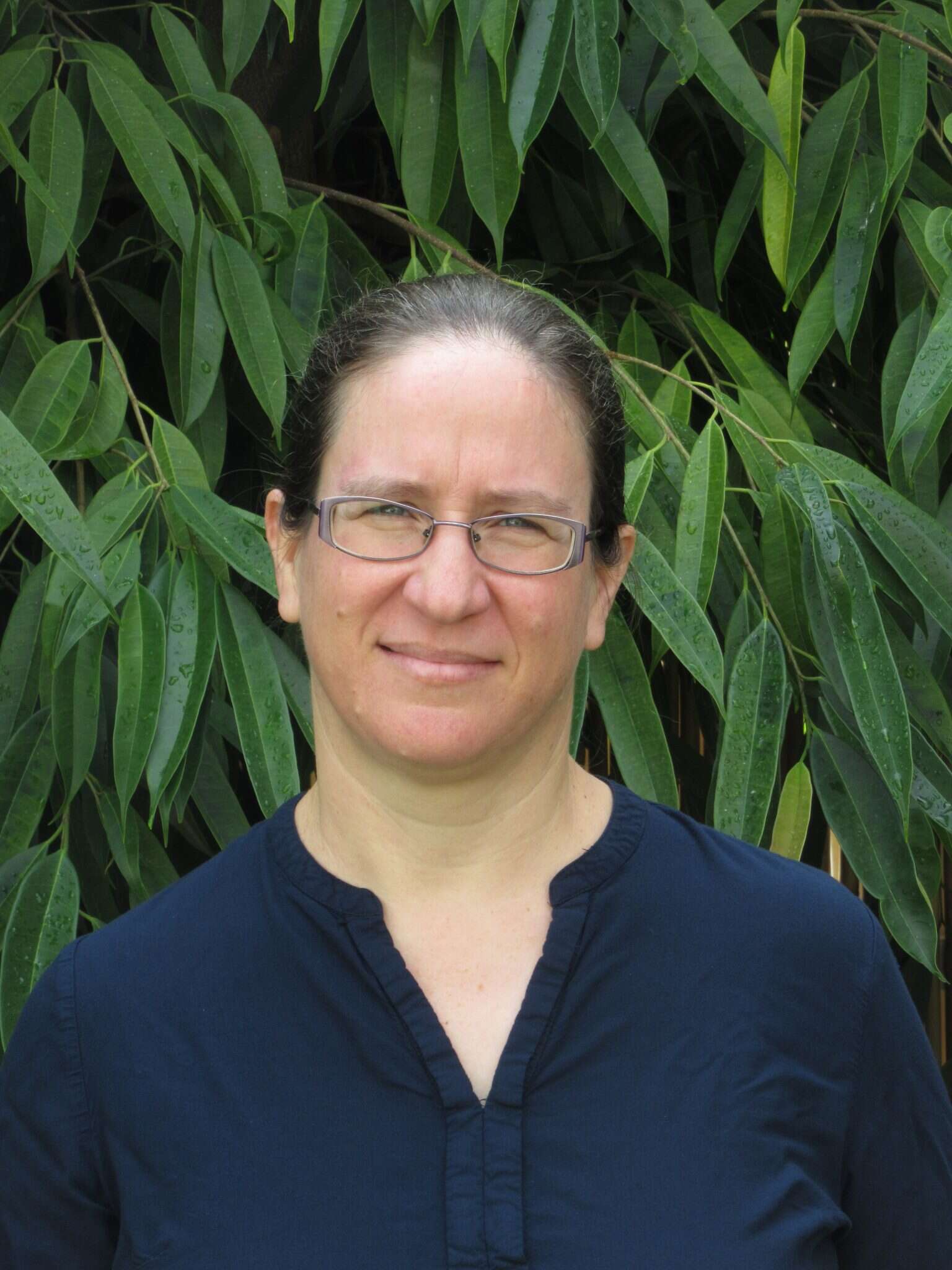 חוי דרייפוס