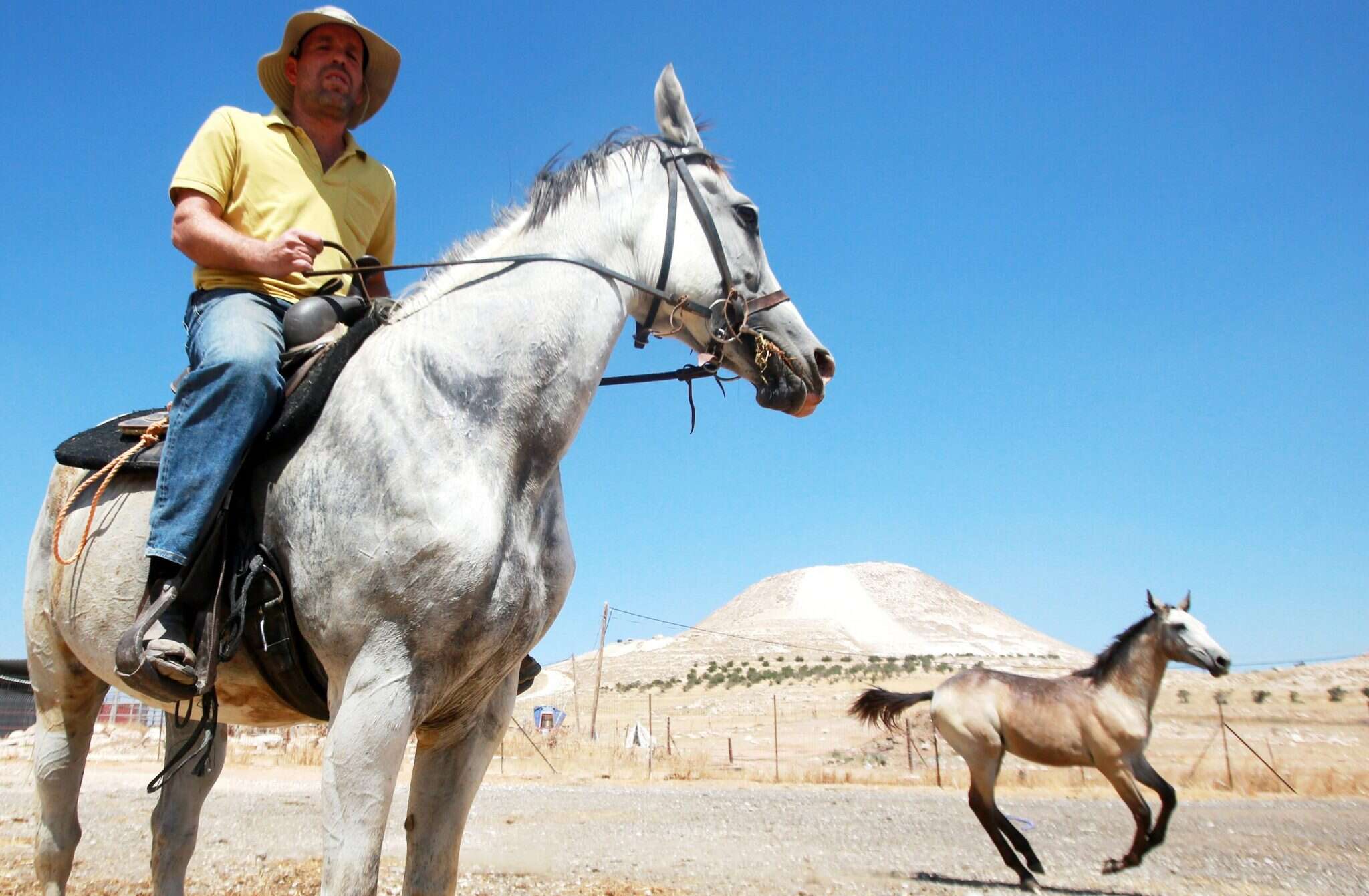 יאיר בן דוד. | מרים צחי