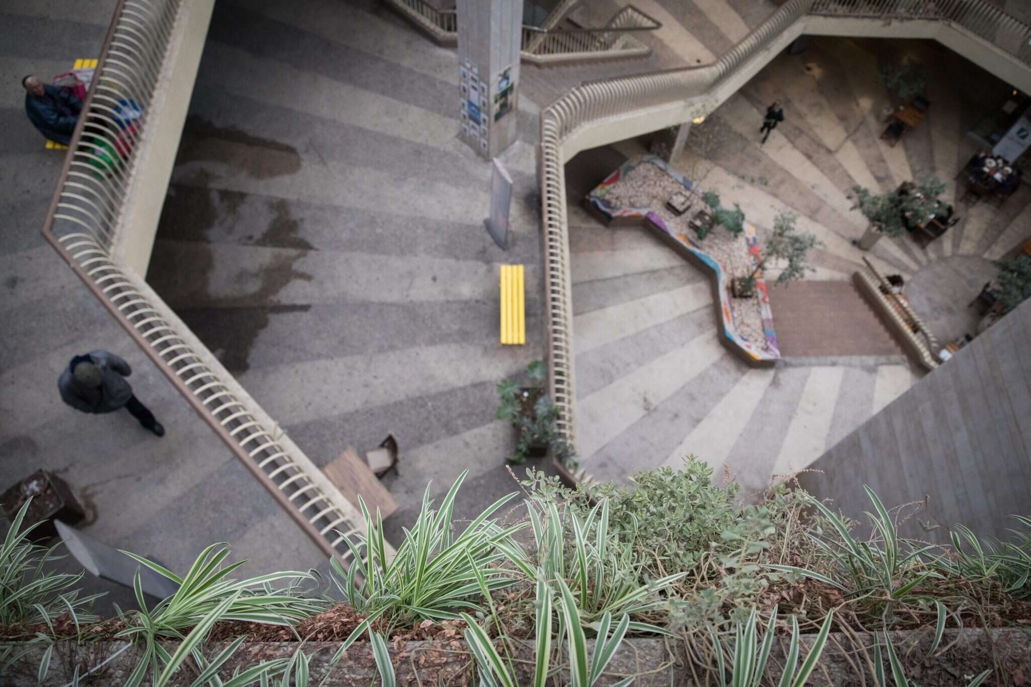 בניין כלל בירושלים. | הדס פרוש, פלאש90