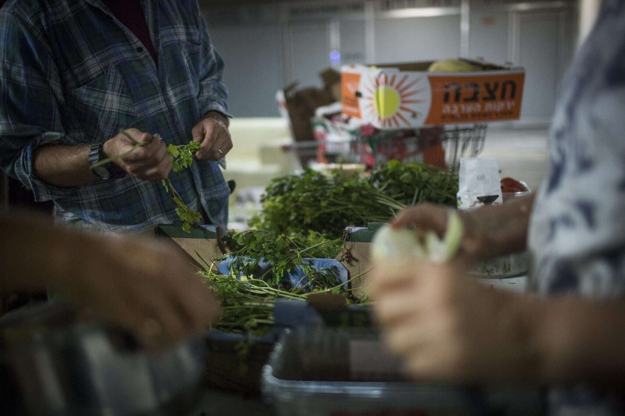 אוכל שיתופי בבניין כלל. | הדס פרוש, פלאש90