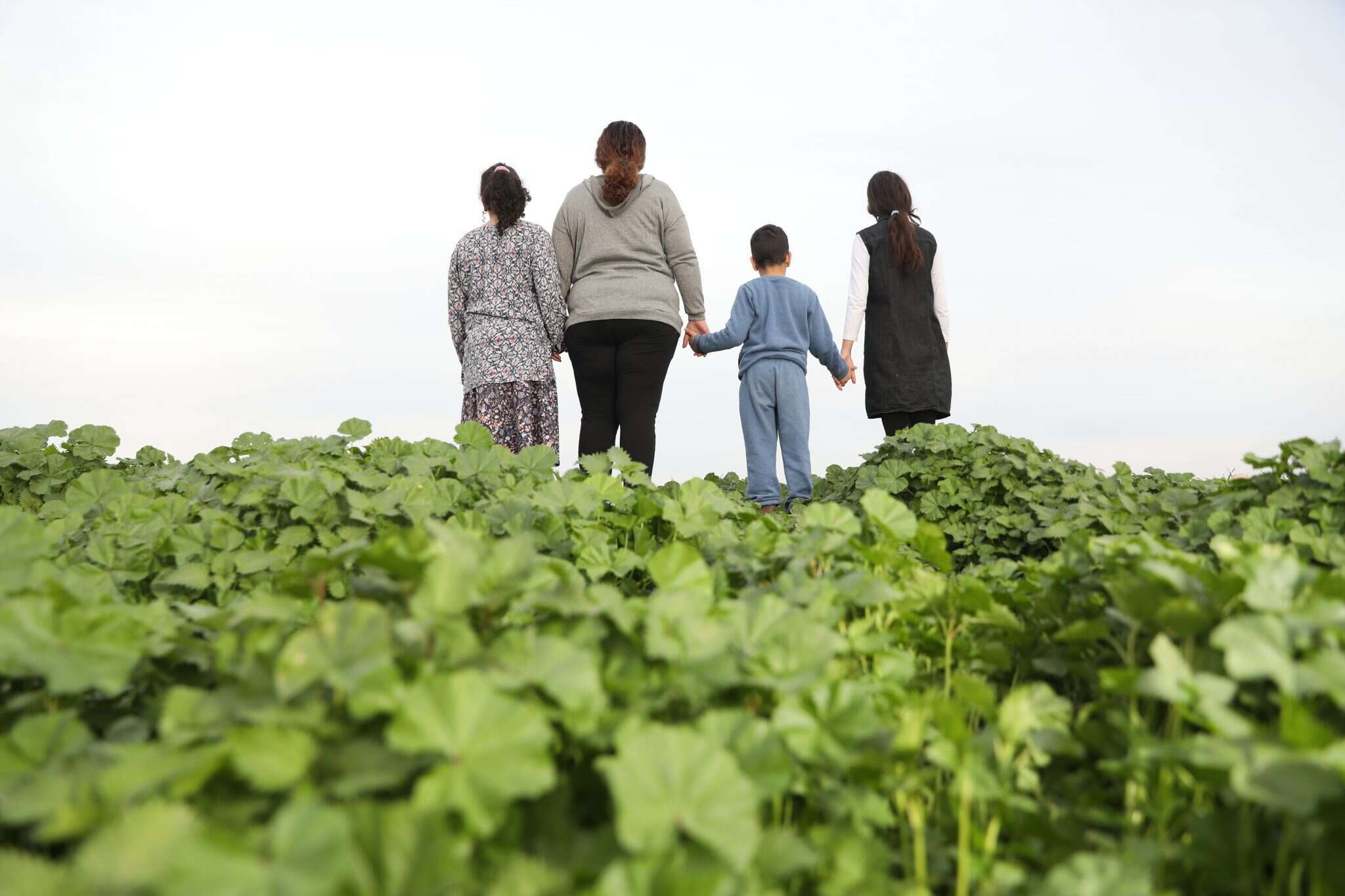 שביל הבריחה. | מרים צחי שביל הבריחה. | מרים צחי