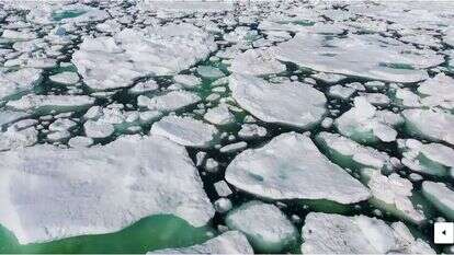 Alice Li - Washngton Post