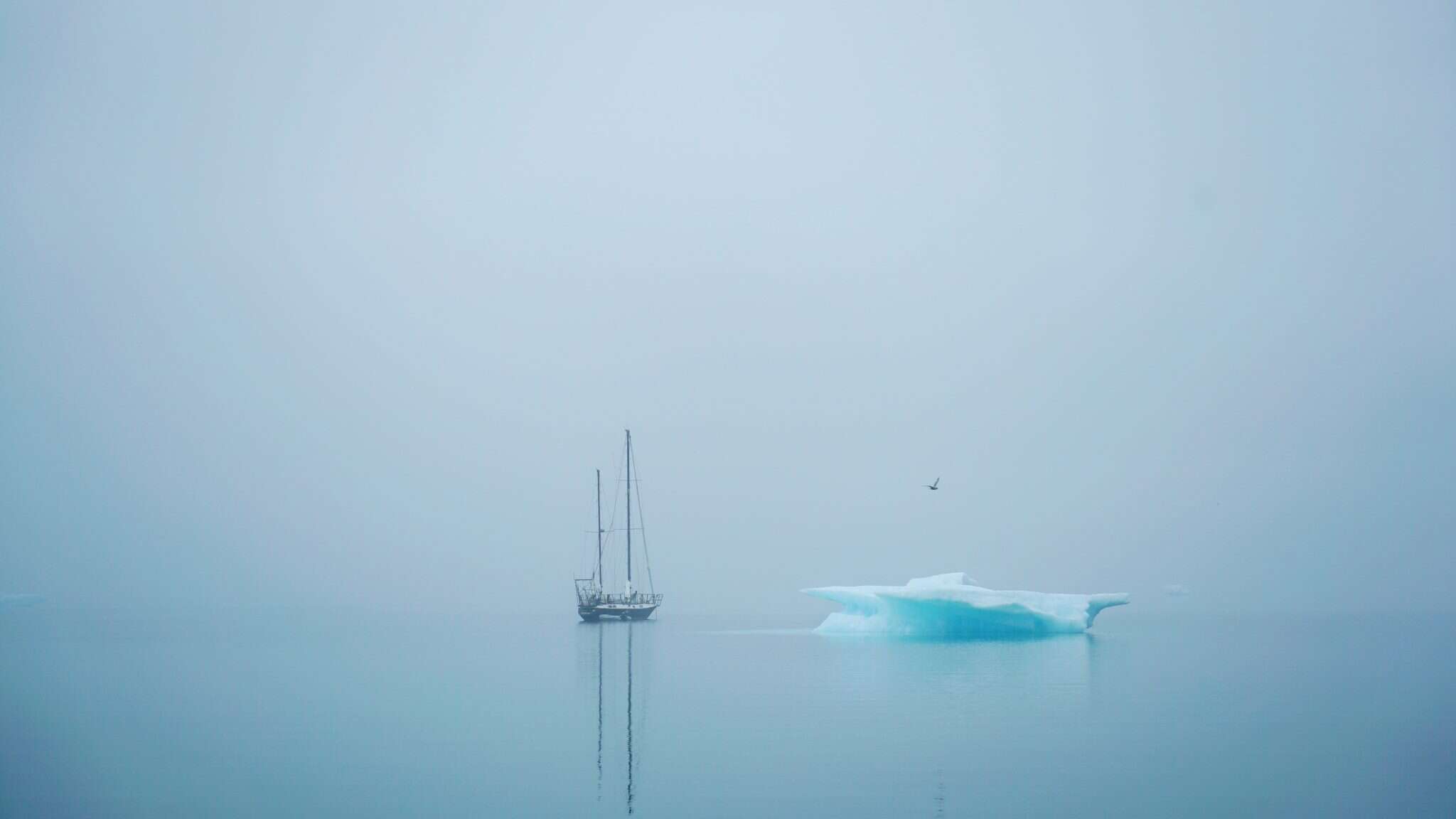 Alice Li - Washngton Post