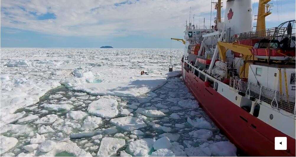 Alice Li - Washngton Post