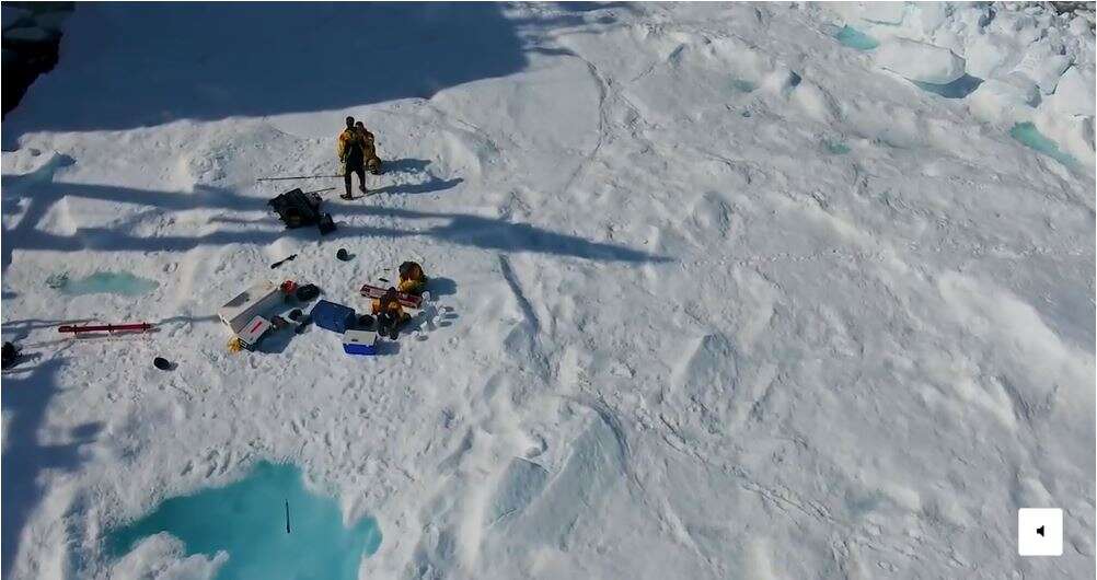 Alice Li - Washngton Post