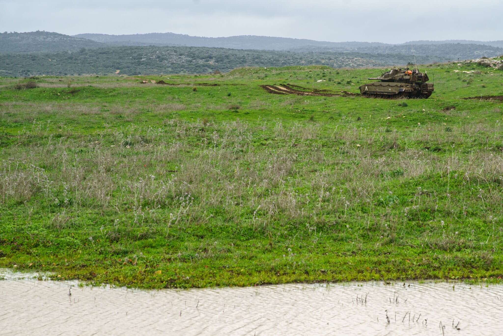 חשופים בלי צריח. | אנצ'ו גוש, ג'יני