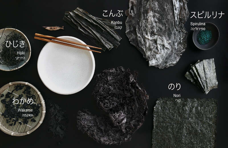 אפרת ליכטנשטט אפרת ליכטנשטט