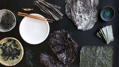 אפרת ליכטנשטט אפרת ליכטנשטט