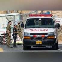 אילוסטרציה. | אייל מרגולין ג'יני