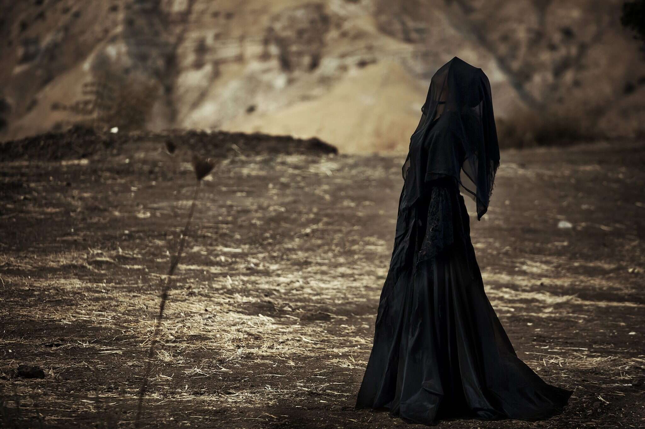 אשת איוב. | דקלה לאור