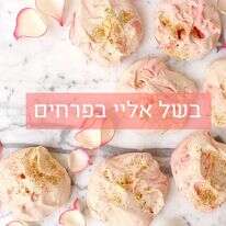 אפרת ליכטנשטט