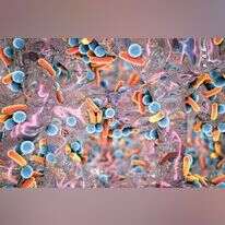 חיידקים בעדשת המיקרוסקופ. | שאטרסטוק