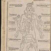 מאיורי הספר. | באדיבות האקדמיה לרפואה ניו-יורק