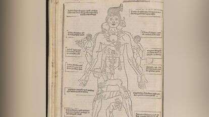 מאיורי הספר. | באדיבות האקדמיה לרפואה ניו-יורק