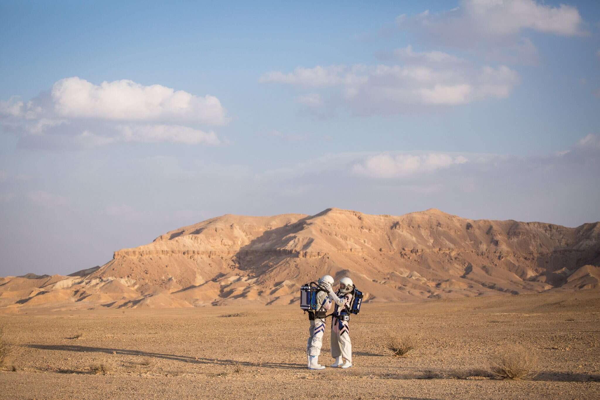 אבישג שאר-ישוב אבישג שאר-ישוב