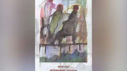 אהבה מסותרת, חנה טואג. כרמל, 269 עמ'