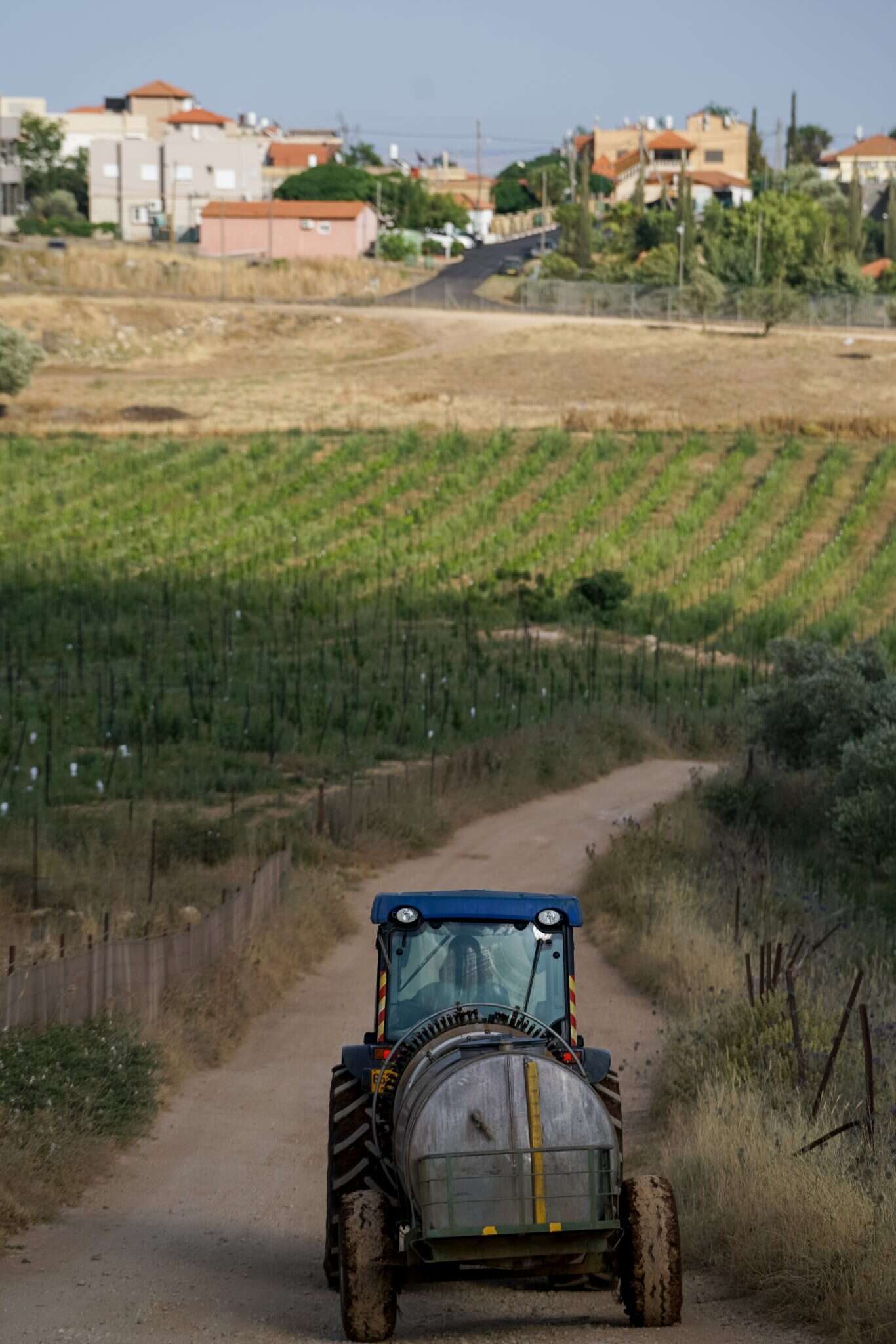 אייל מרגולין- ג'יני