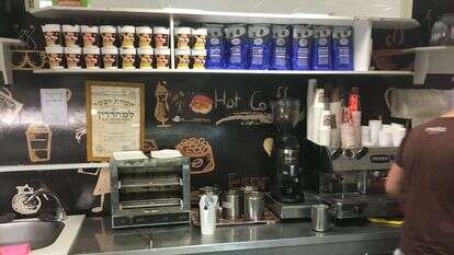 תעודת כשרות. | אופיר דוד תעודת כשרות. | אופיר דוד