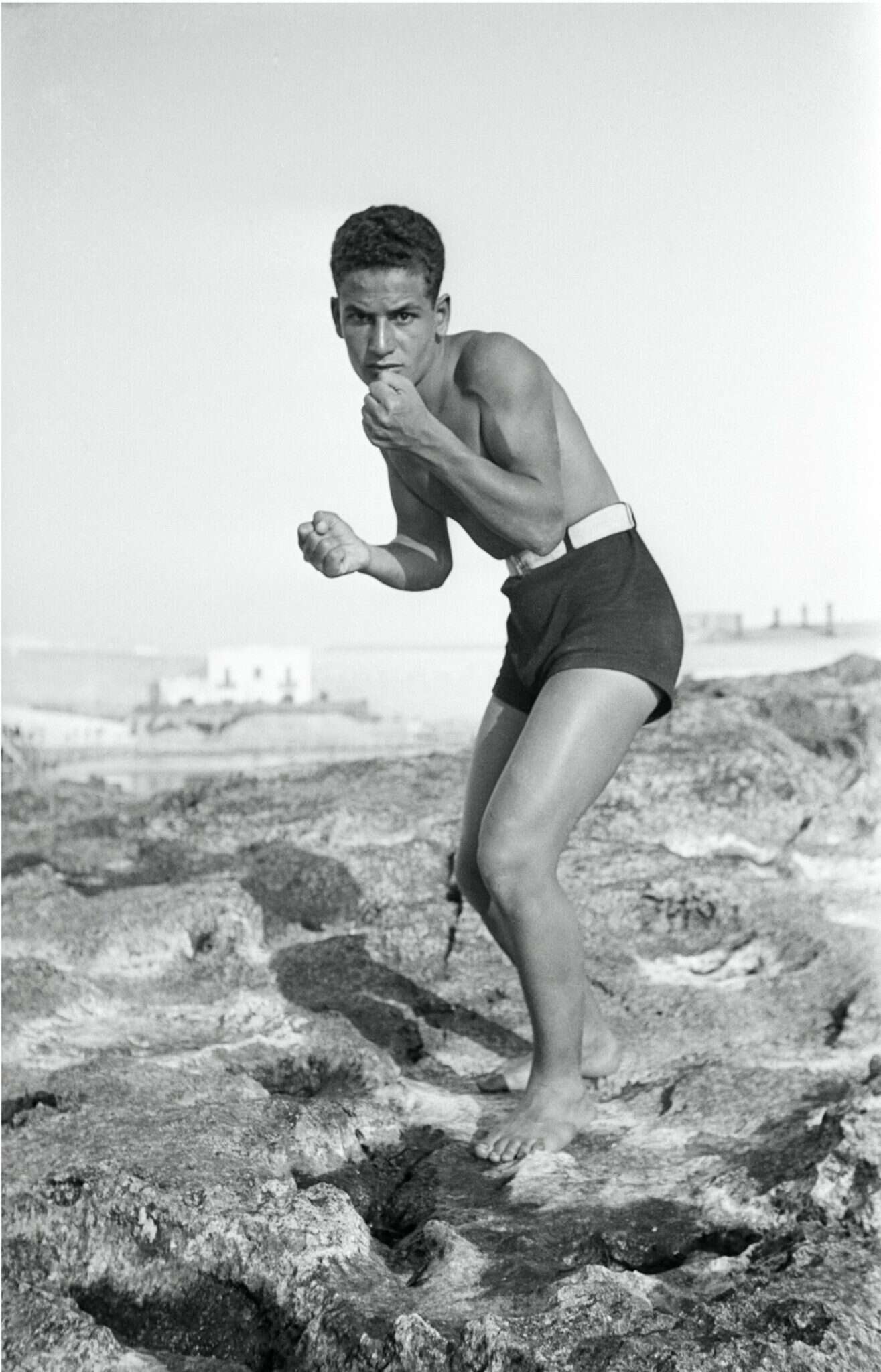 מתוך התערוכה "תמיר צדוק – אמנות, סיפור כיסוי"