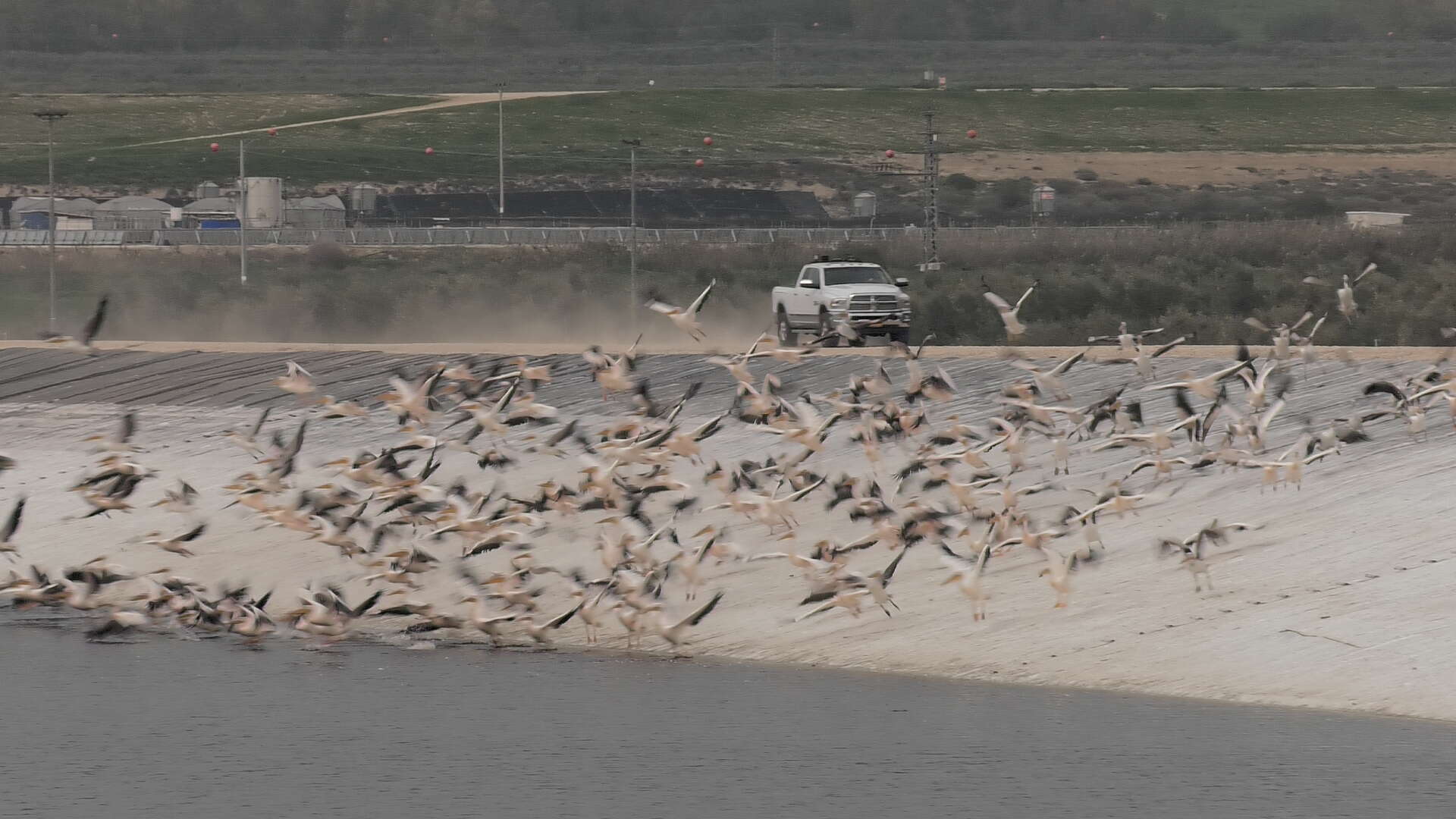 ניסיון גירוש על גדות מאגר קלח. | קקטוס תקשורת ניסיון גירוש על גדות מאגר קלח. | קקטוס תקשורת