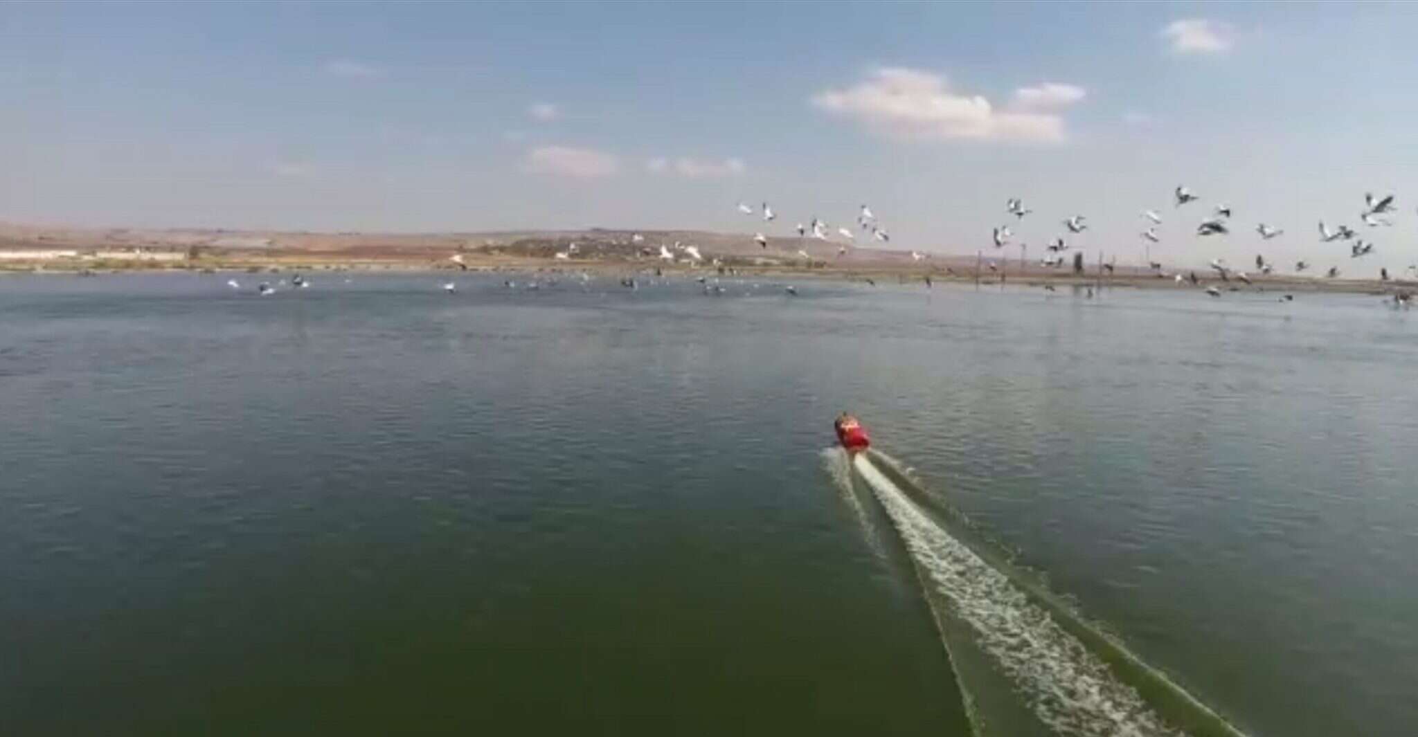 סירה זעירה להרחקת עופות. | דור מימון סירה זעירה להרחקת עופות. | דור מימון