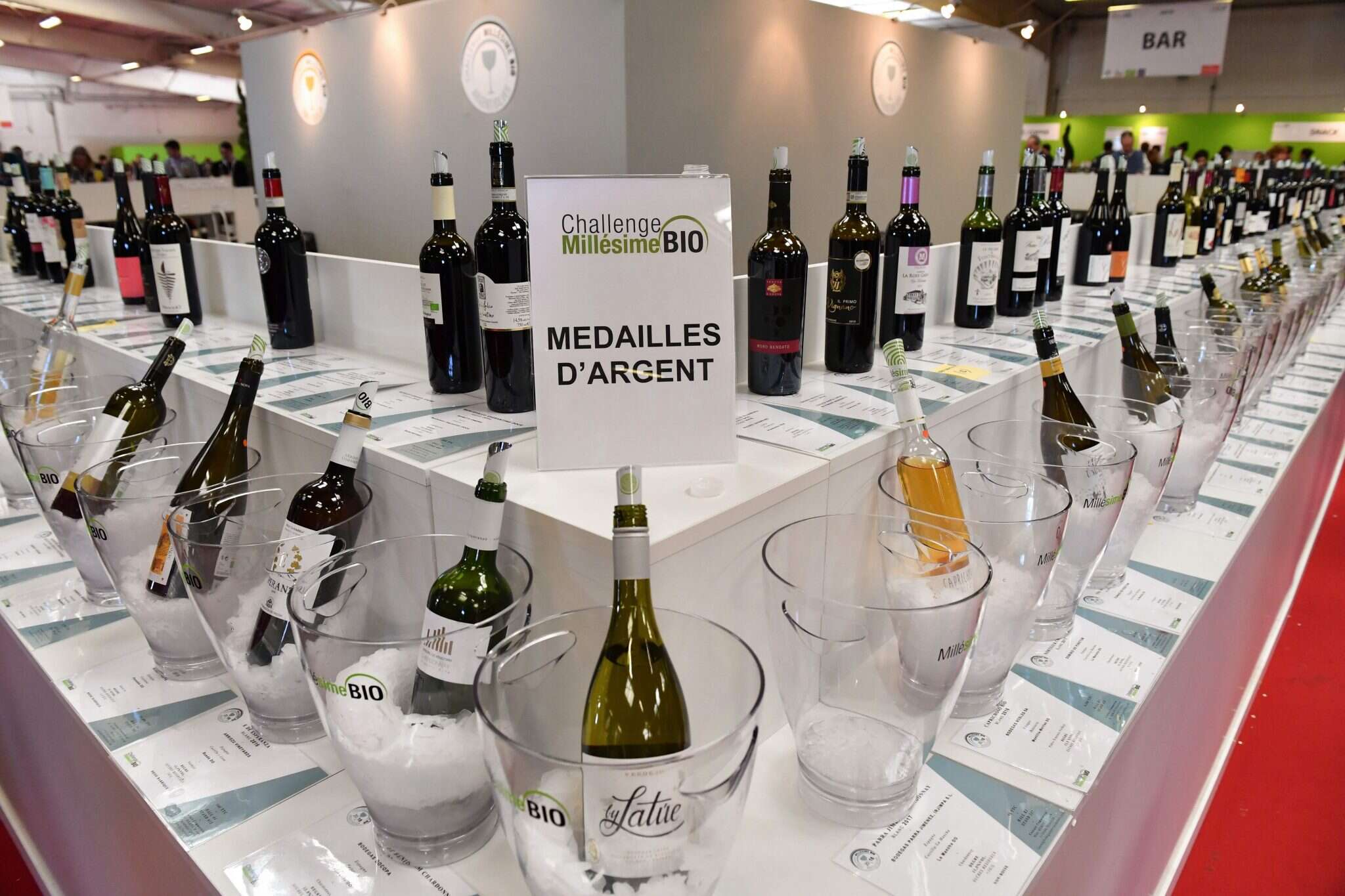 תערוכת יין בצרפת. | AFP