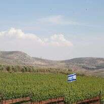 יהודה ושומרון. | מרים צחי