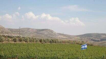 יהודה ושומרון. | מרים צחי