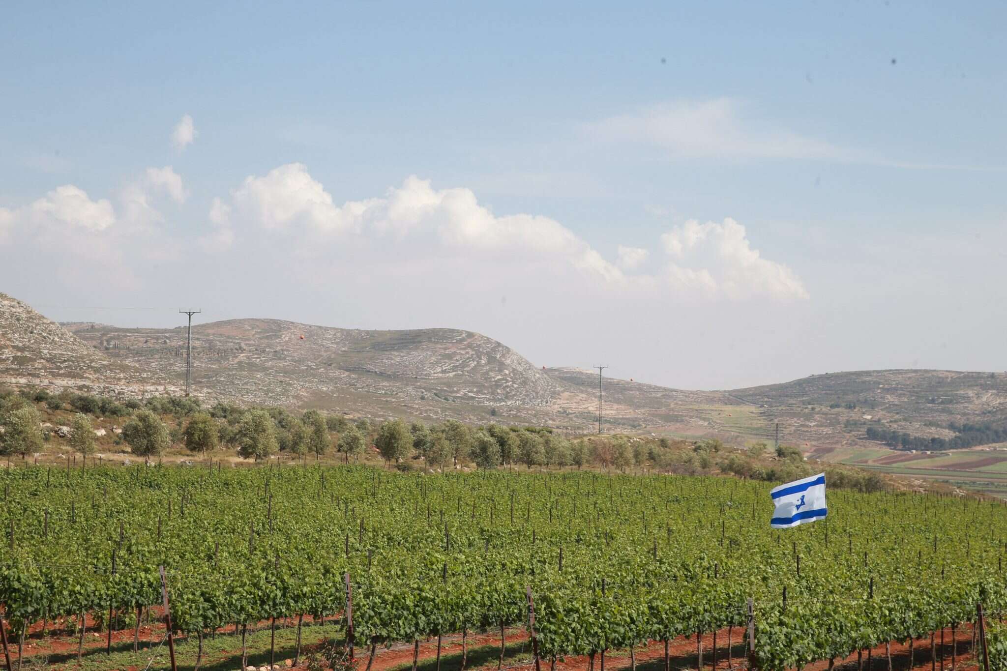 יהודה ושומרון. | מרים צחי