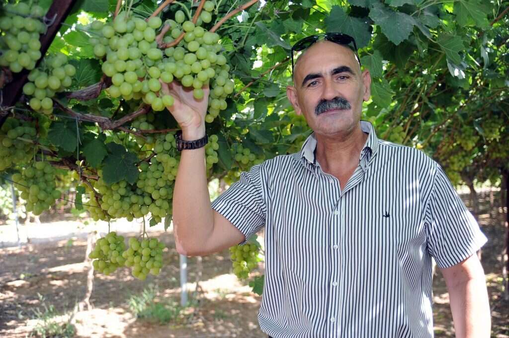 ראש מועצת הבקעה דוד אלחייאני. | גיל אליהו, ג'יני