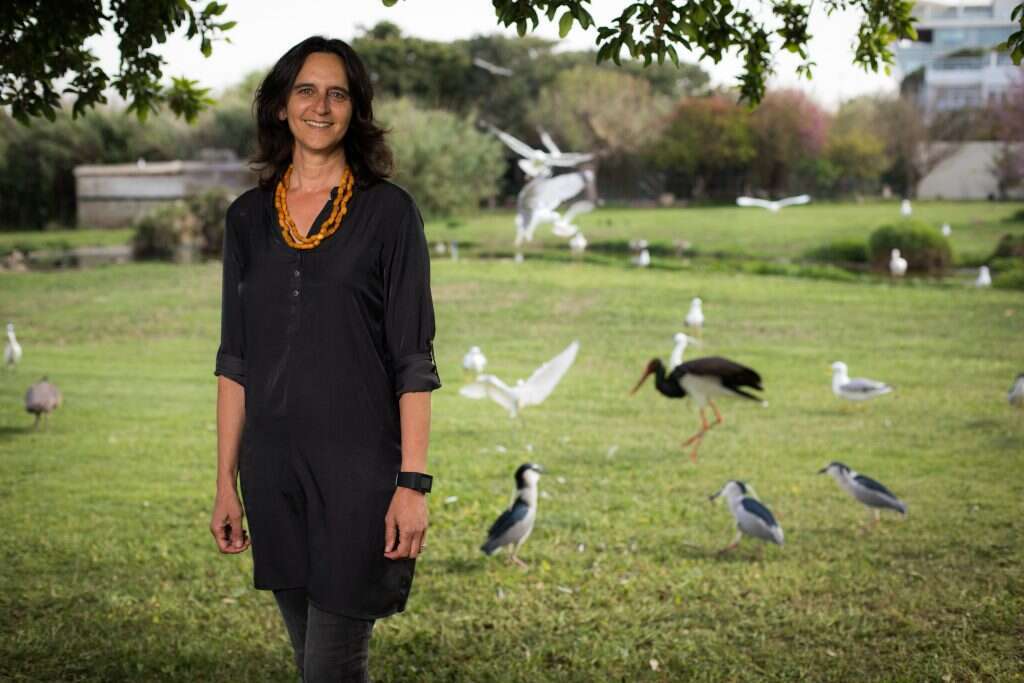 פרופ' נגה קרונפלד-שור. | אריק סולטן