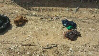 כלי הנשק שנתפסו על המחבלים שחדרו מגבול רצועת עזה. | דוברות המשטרה