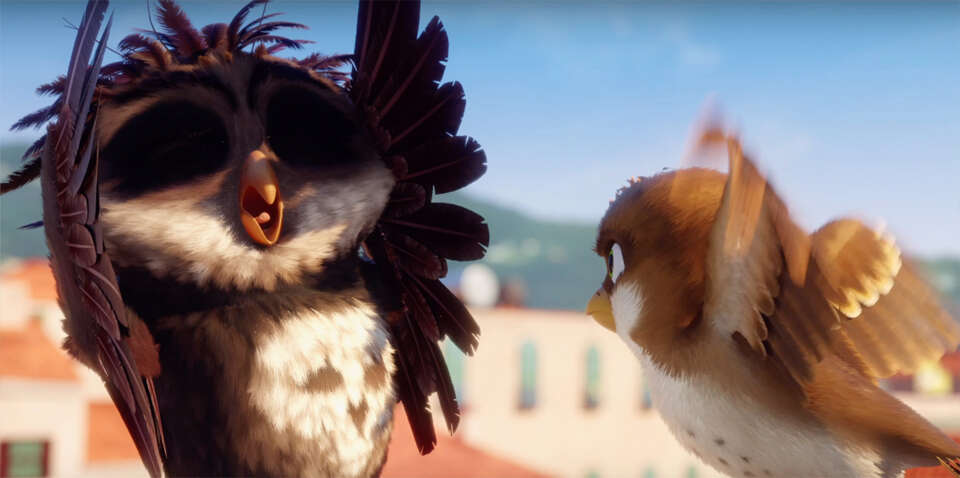 לעוף על אפריקה