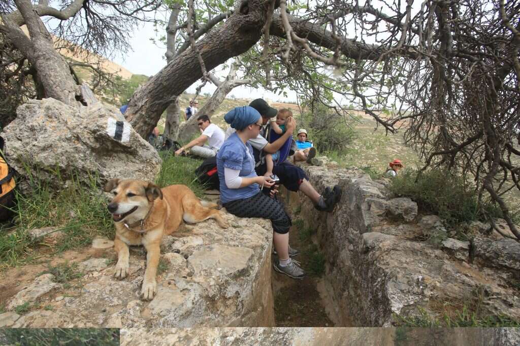 אמת הביאר. | מרים צחי
