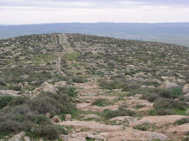 הר עמשא. | מרכז סיור ולימוד סוסיא
