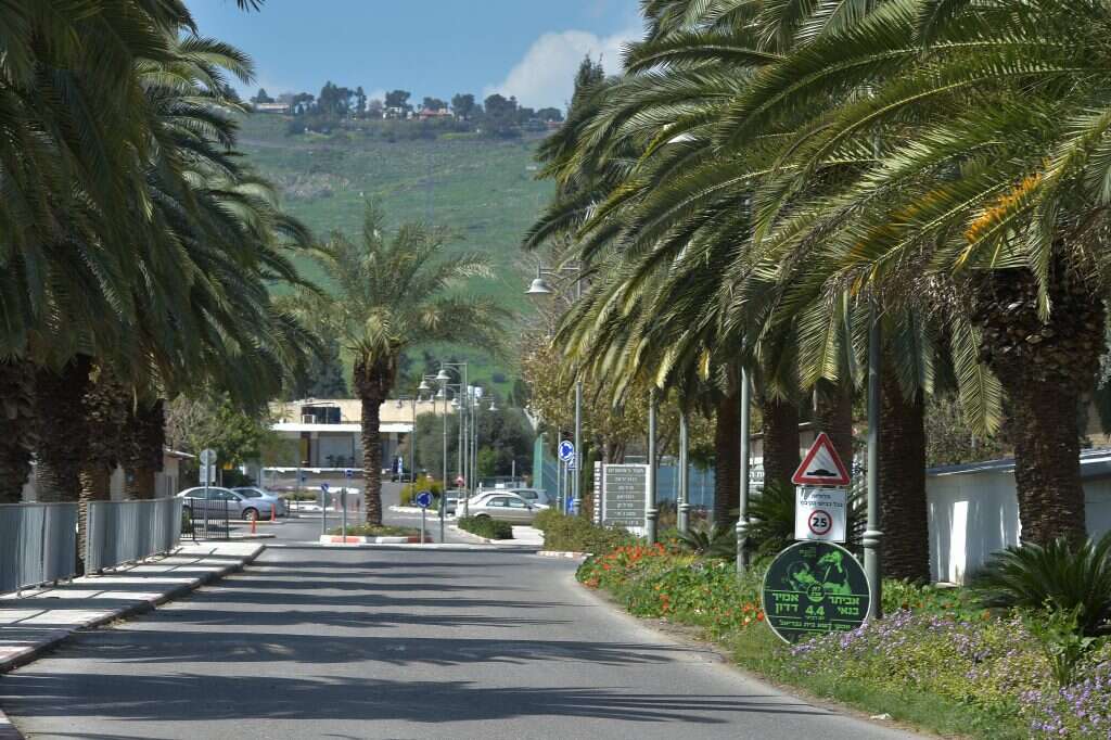 דגניה. | גיל אליהו ג'יני