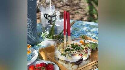 סביח מפורק. | אפרת מוסקוביץ' סביח מפורק. | אפרת מוסקוביץ'