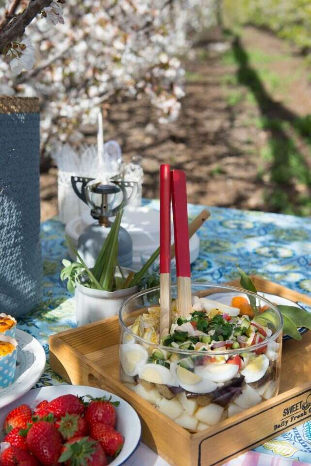 סביח מפורק. | אפרת מוסקוביץ' סביח מפורק. | אפרת מוסקוביץ'