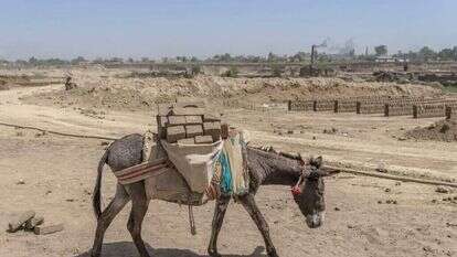פקיסטן. | EPA פקיסטן. | EPA