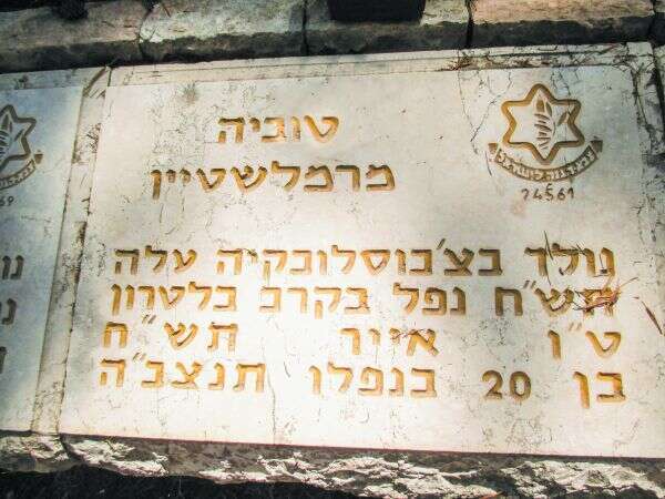 מצבתו של טוביה לפני גילוי הפרטים. | סטיבן גלייזר