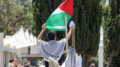 מפגינים פרו פלסטינים. | דני מרון