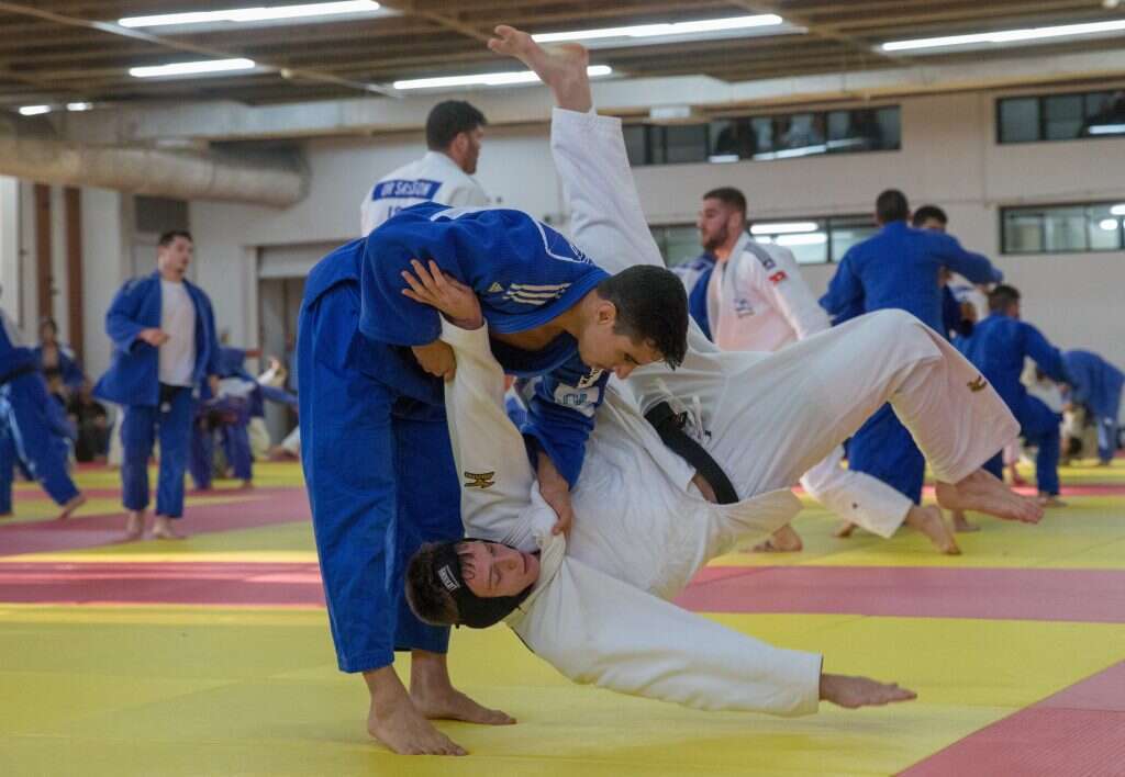 טל פליקר. | יוסי אלוני