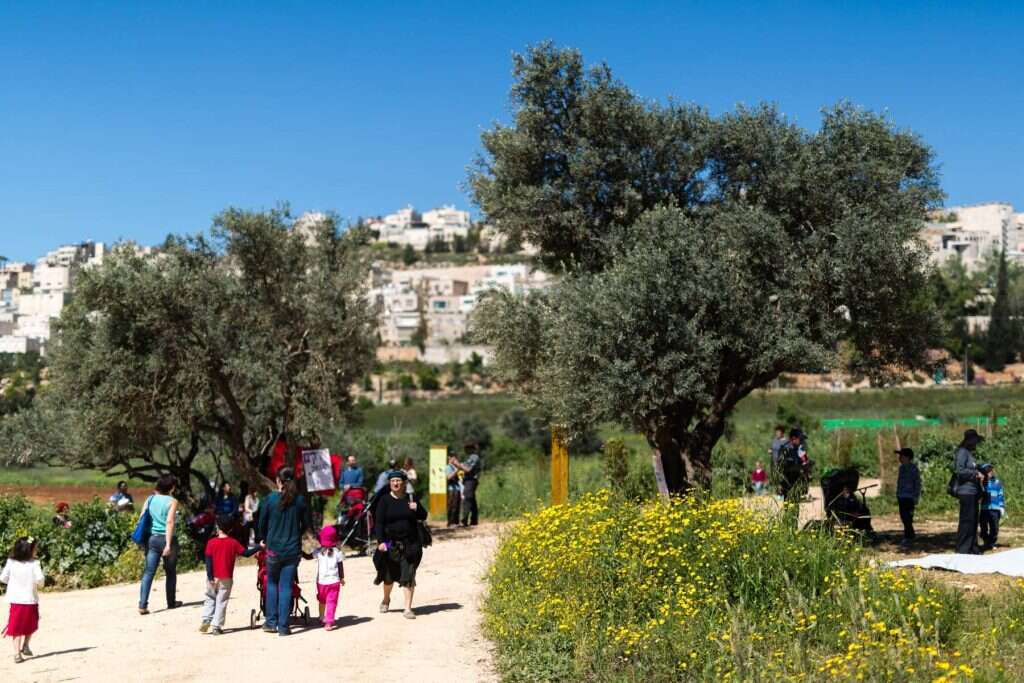 פארק הצבאים. | דודי ועקנין
