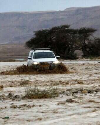 שיטפונות במדבר יהודה | AFP שיטפונות במדבר יהודה | AFP