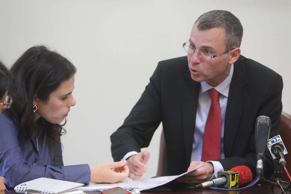 יריב לוין ואיילת שקד. | מרים צחי