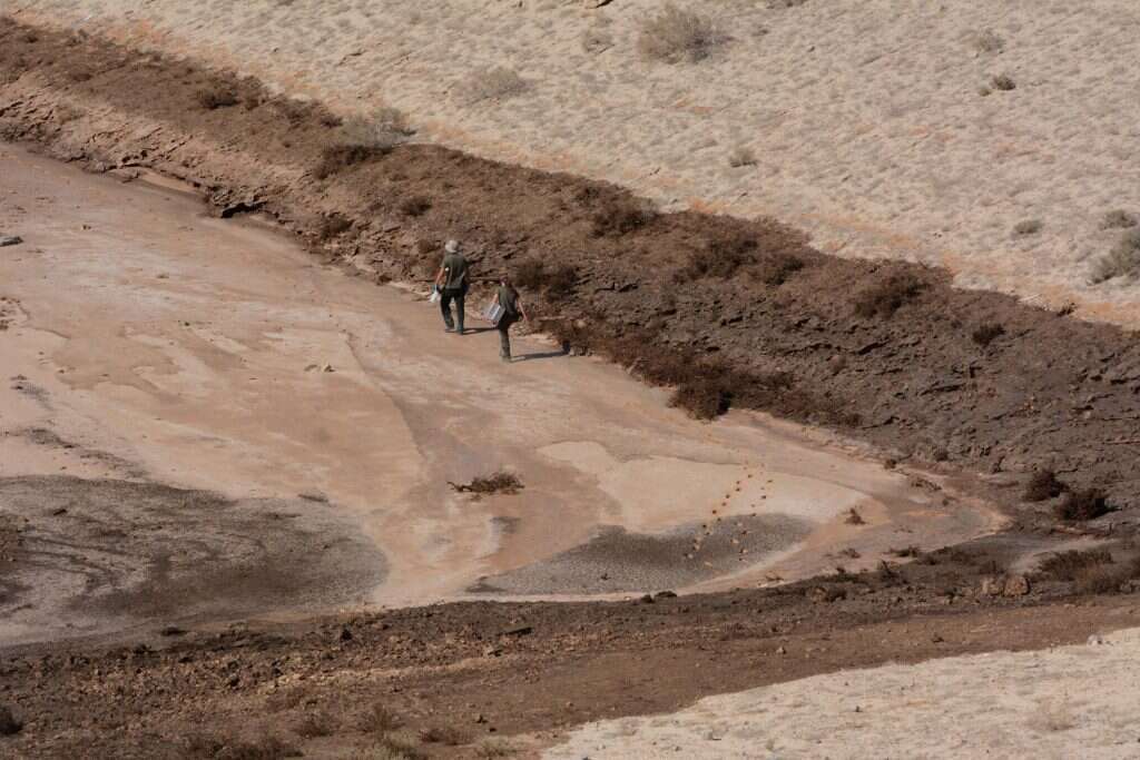 נחל אשלים אחרי הנזק. | דודו גרינשפן