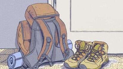 איור: דניאל פלג