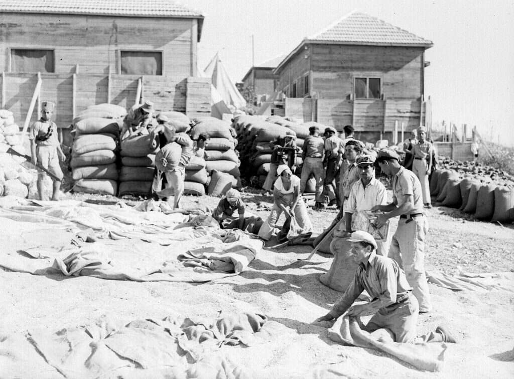 החלוצים. | קלוגר זולטן, לע''מ